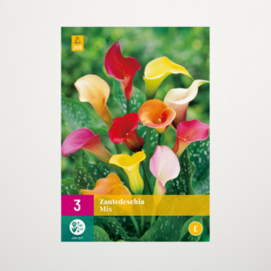 Calla Mix - 3 Wurzeln