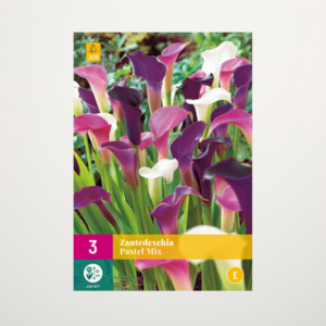 Calla 'Pastel' Mix - 3 Wurzeln
