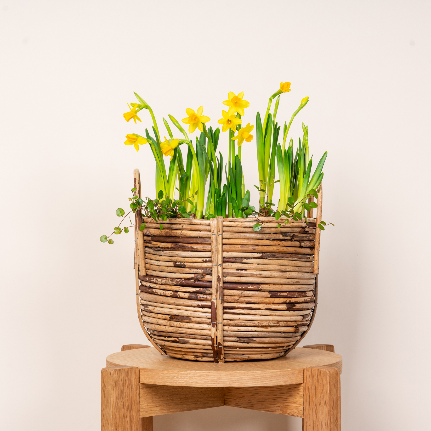 Rattan Korb - 2 cm