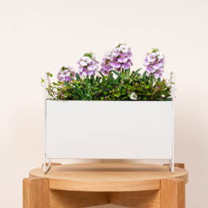 Metall Plantbox Greige