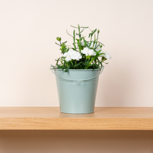 Zink Eimer Grün - 15 cm