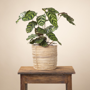 Rattan Überkorb - 20 cm
