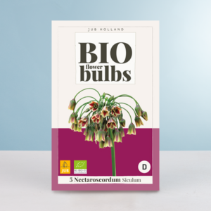 BIO Sizilianischer Honiglauch - 5 Zwiebeln