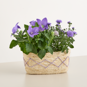 Lilac Basket