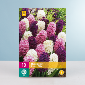 Hyazinthen 'Pastel' Mix - 10 Zwiebeln