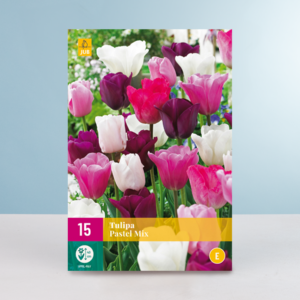 Tulpen 'Pastel' Mix - 15 Zwiebeln