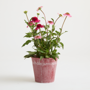 Übertopf Metall Berry - 23 cm