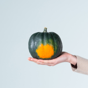Zierkürbis 'Dark Boo'
