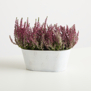 Zink Gefäß Oval Weiß - 26 cm