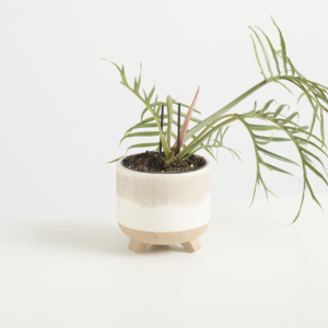 Keramik Übertopf Natur Reaktiv - 9 cm