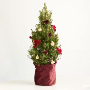 Weihnachtswunder