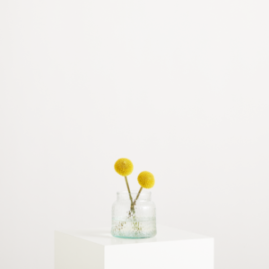BLUME2000 Lieblingsvase Mini