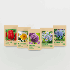 Blumenzwiebel Set "Von allem etwas" - 41 Zwiebeln
