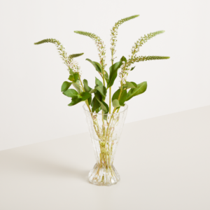 Glas Vase Transparent Breit Zulaufend