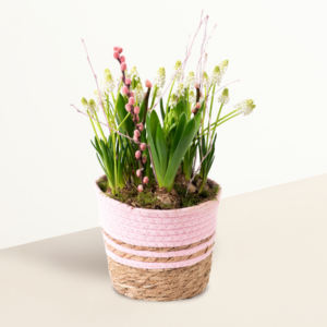 Bloomy Pastels