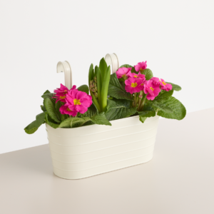 Metall Balkonkasten Rille Creme Klein