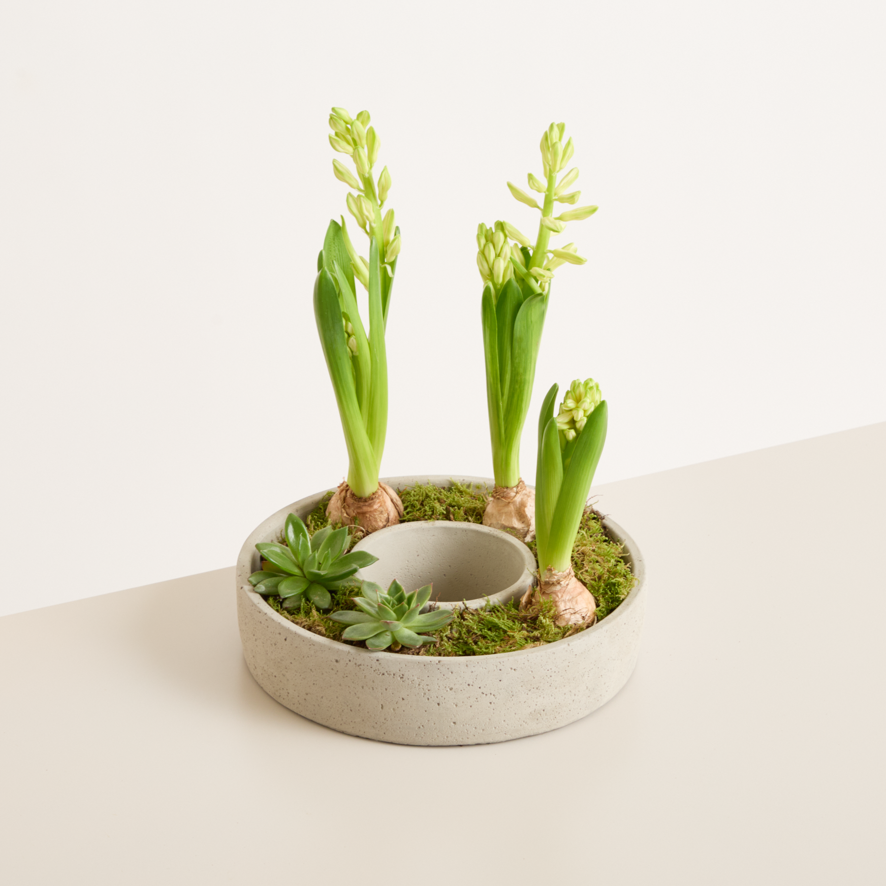DIY Betonring Spring Blossom