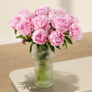 Deal: Rosa Pfingstrosen - 15 Stiele