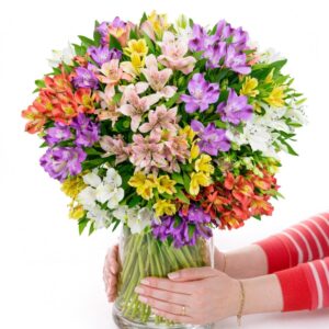 Blossom Explosion