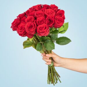 Deal: Rote Premium-Rosen - 20 Stiele