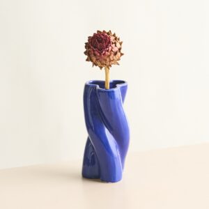 Trockenblumenstiel Artischocke