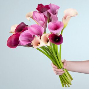 Bunte Callas - 15 Stiele