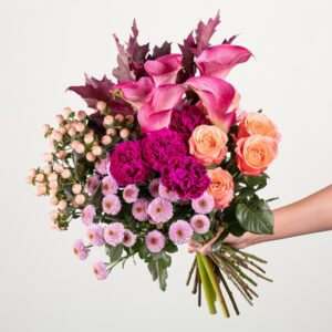 Pinker Herbstblumenmix