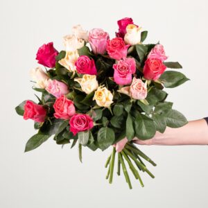 Bunte Rosen - 20 Stiele