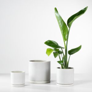 Blumentopf Keramik 'Portugal' Greige mit Untersetzer - 19 cm