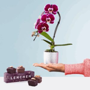 Cheerful mit Lebkuchenpralinen
