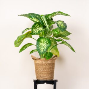Seegraskorb Henkel - 24 cm