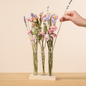 Trockenblumenset Flower Miracle