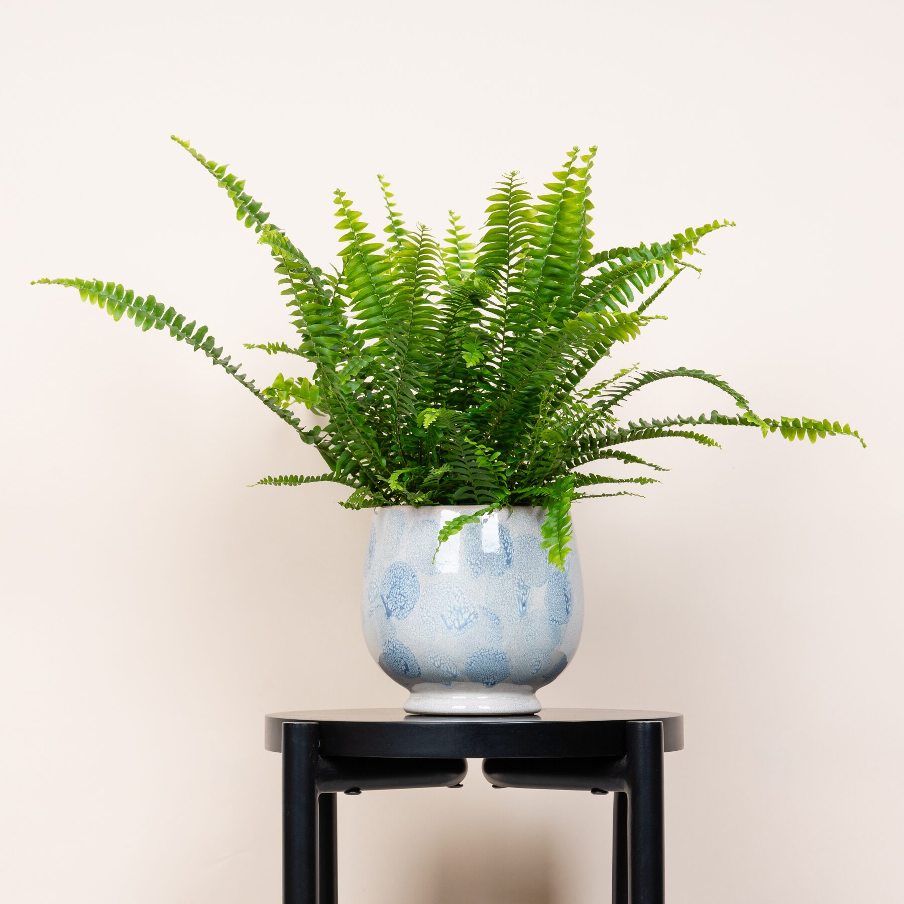 Keramik Übertopf Konfetti Blau - 12 cm