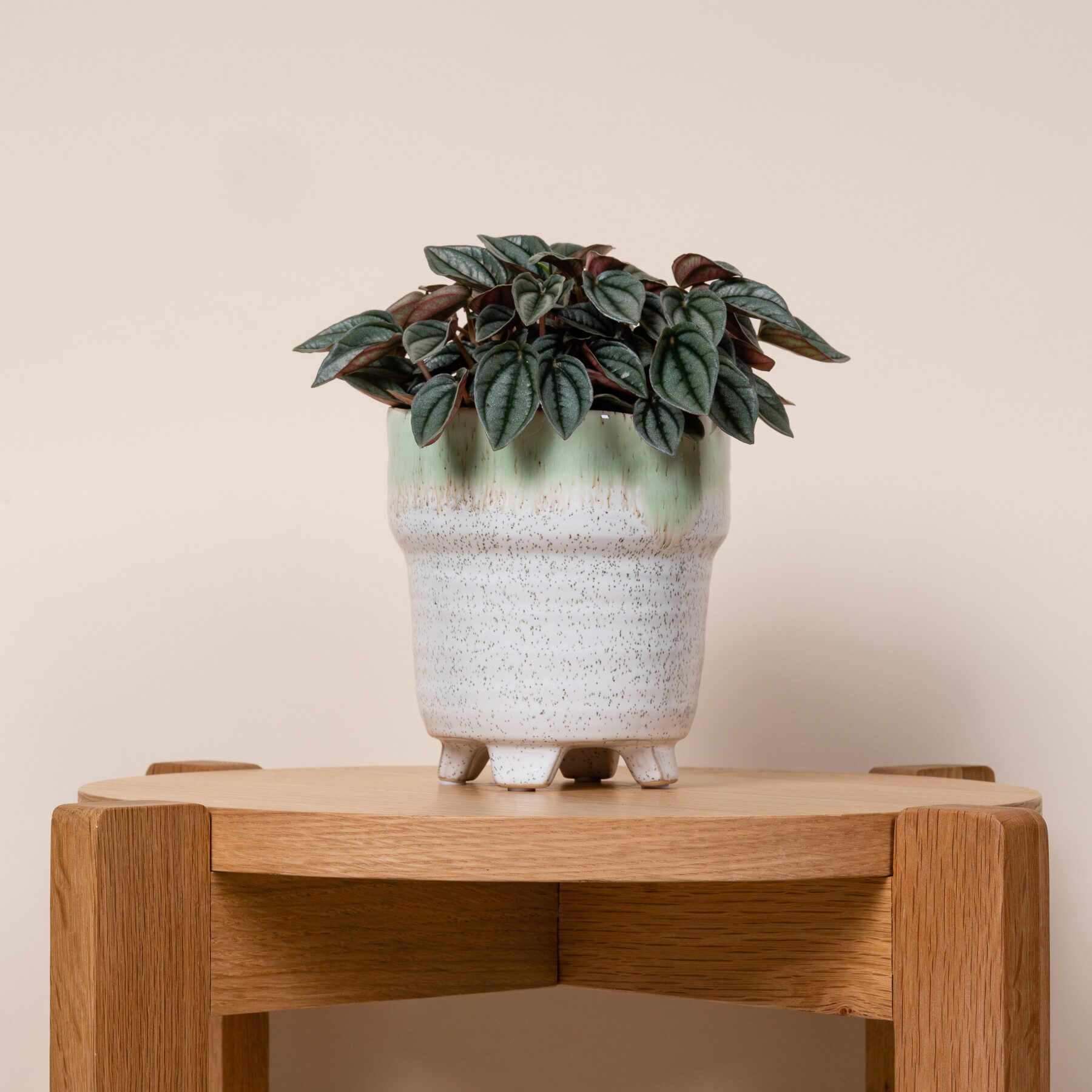Keramik Übertopf Orchidee Grün/Weiß - 11 cm