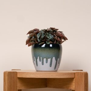 Orchideen Übertopf Keramik Blau - 12 cm