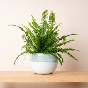 Keramik Übertopf Grün/Weiß - 15 cm