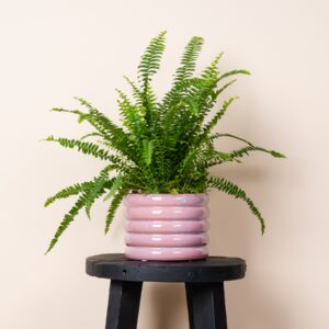 Keramik Übertopf Rosa - 11,5 cm