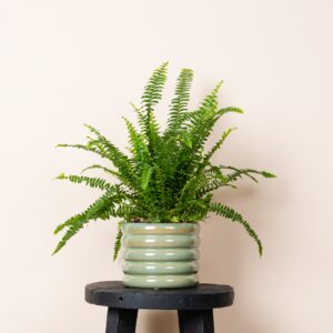Keramik Übertopf Mint - 11,5 cm