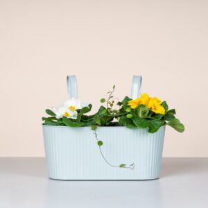 Metall Balkonkasten Rille Mint - 30 cm
