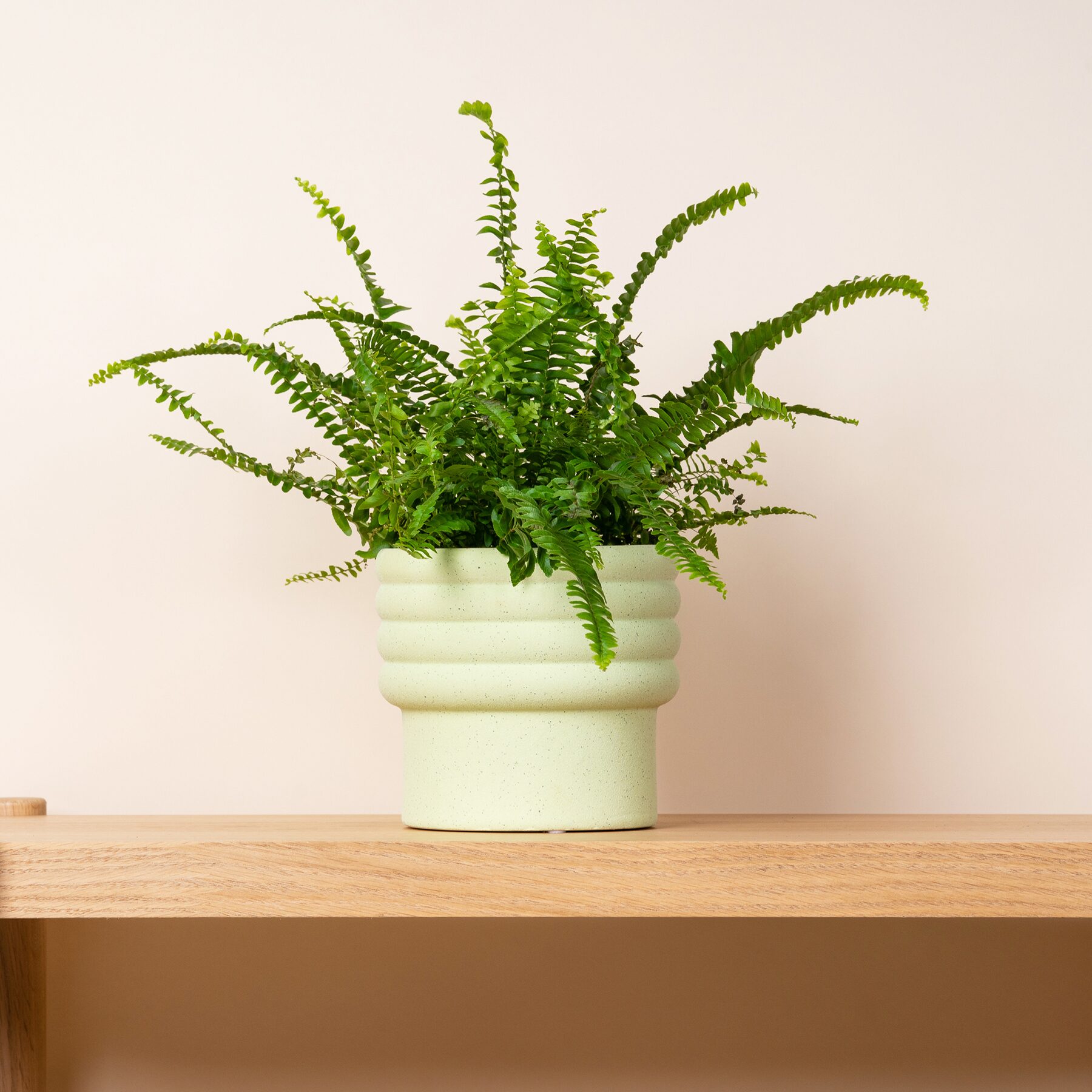 Keramik Übertopf Lime - 14 cm – Bild 2