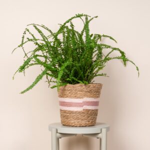 Übertopf Streifen Natur Pink - 19 cm