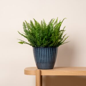 Zink Übertopf Emalie Blau- 20 cm