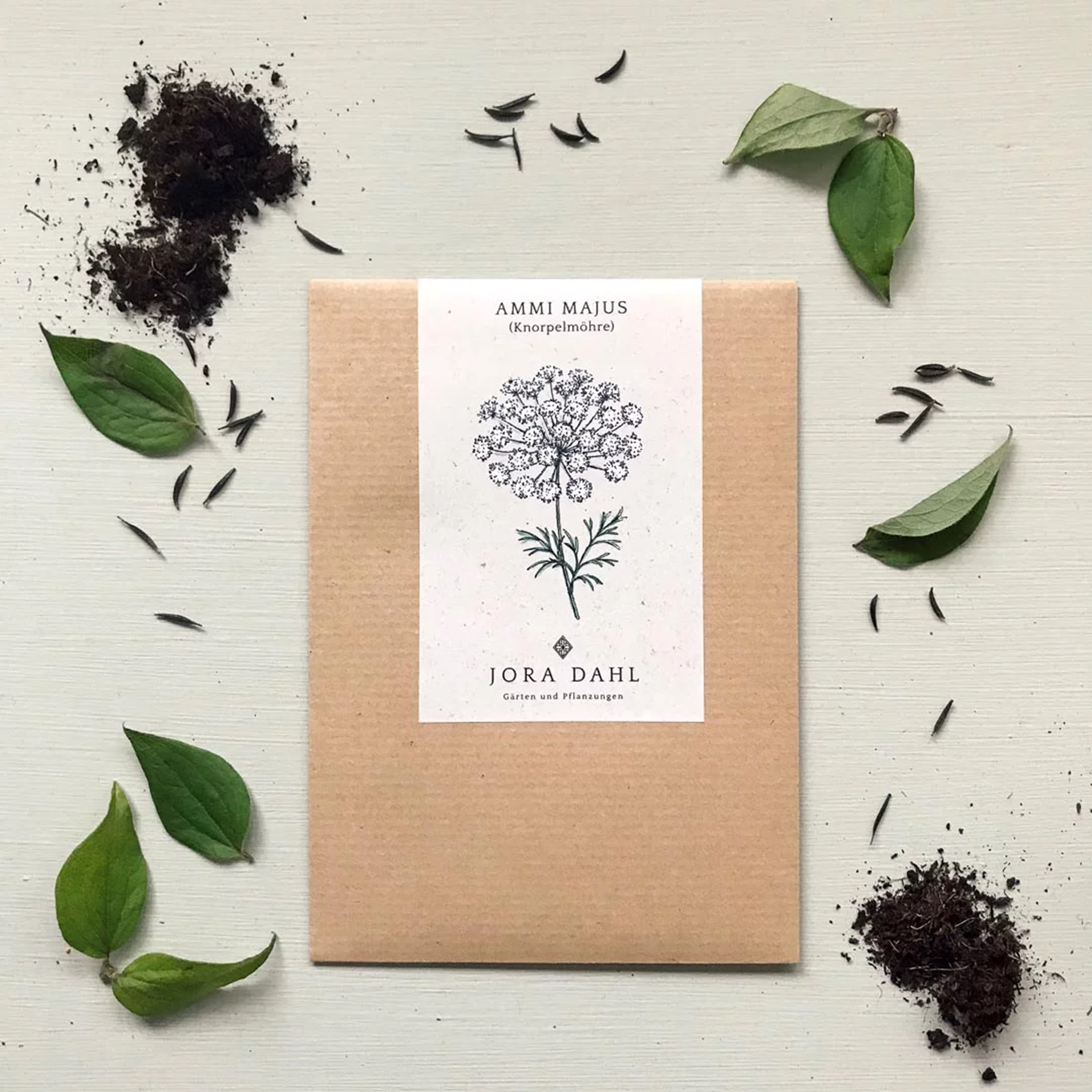 Jora Dahl Saatgut Knorpelmöhre 'Ammi majus'