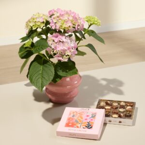 Rosa Träume mit Lindt Pralinés Süße Grüße 100g