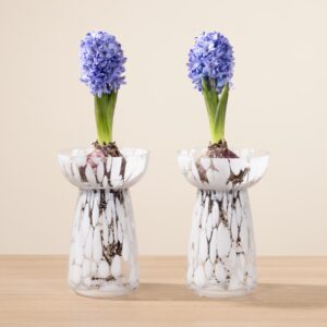 Mini DIY Hyazinthen Spring Vibes
