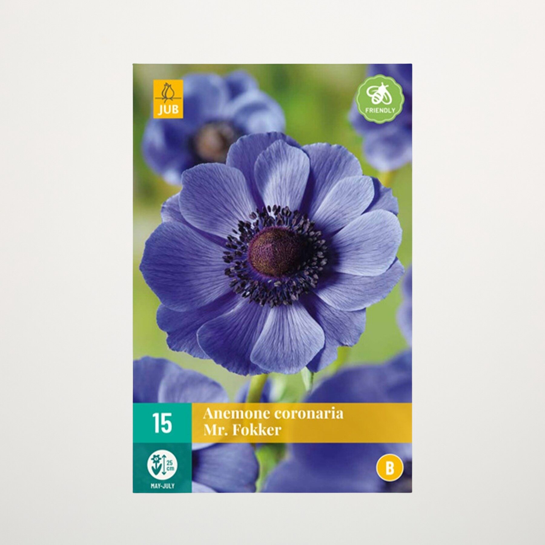 Anemone 'Mr. Fokker' - 15 Knollen