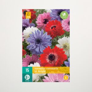 Gefüllte Anemonen 'St. Brigid' Mix - 15 Knollen