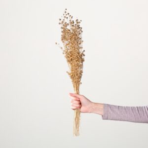 Trockenblumenbund Flachs Goldfarben