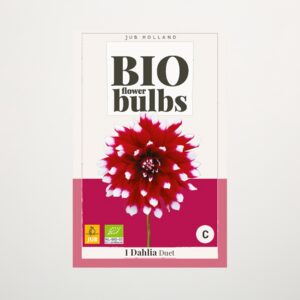 BIO Dahlie 'Duet' - Knolle
