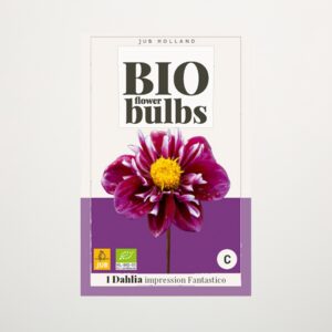 BIO Dahlie 'Impression Fantastico' - Knolle